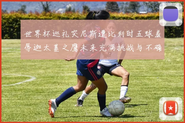 世界杯巡礼突尼斯遭比利时五球羞辱迦太基之鹰未来充满挑战与不确定性